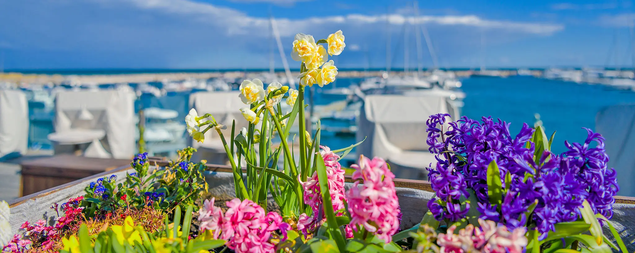 Ostern Kühlungsborn 2026, Veranstaltungen Kühlungsborn Ostern, Ostern Ostsee Kühlungsborn Events, Osterfeuer Kühlungsborn 2026, Ostereiersuche Kühlungsborn