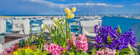 Ostern Kühlungsborn 2026, Veranstaltungen Kühlungsborn Ostern, Ostern Ostsee Kühlungsborn Events, Osterfeuer Kühlungsborn 2026, Ostereiersuche Kühlungsborn