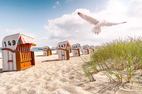 Ostsee Urlaub, Strandurlaub Ostsee, Kühlungsborn Urlaub, Ferienwohnung Kühlungsborn, Ostsee Strand Deutschland, Urlaub Mecklenburg-Vorpommern, Ostsee Sommer Urlaub, Strandurlaub Deutschland, Kühlungsborn Aktivitäten, Ostsee Veranstaltungen